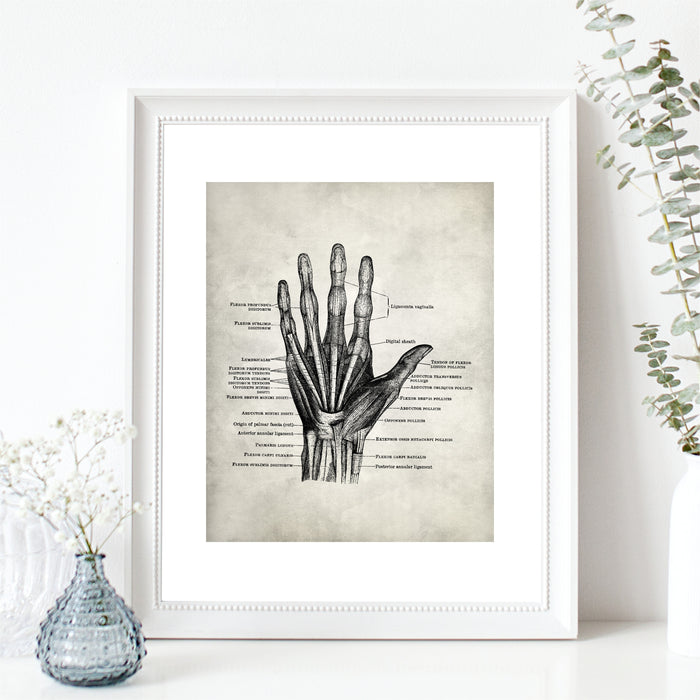 Medical Anatomy Hand Art