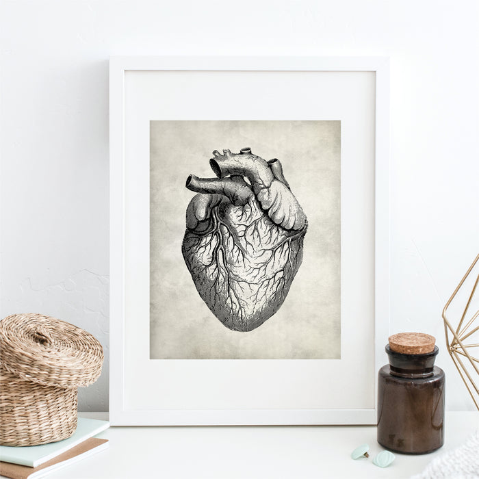 Heart Anatomy Art Print