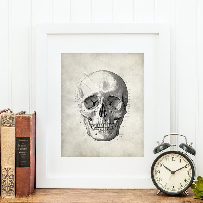 Anatomhy Skull Medical Wall Art