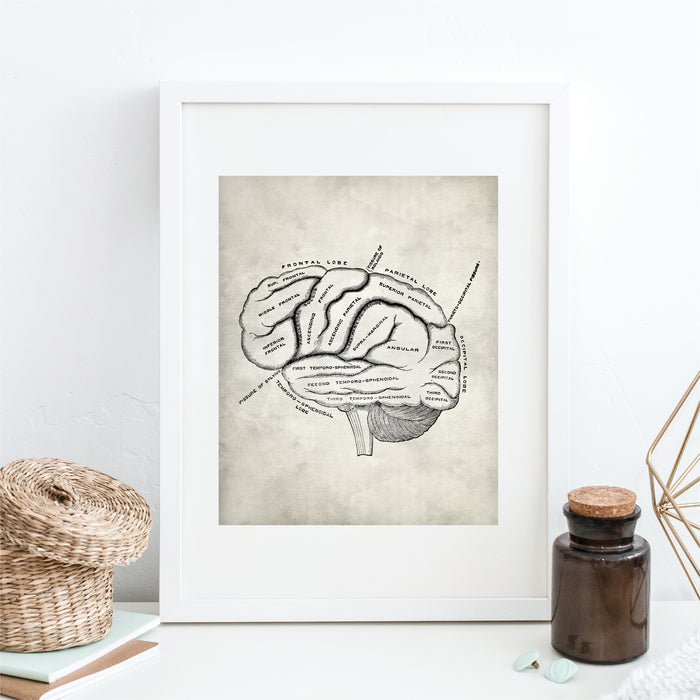 Medical Brain Wall Art