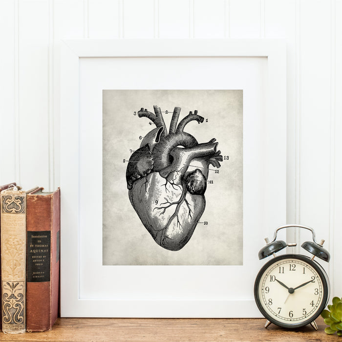 Human Anatomy Heart Wall Art