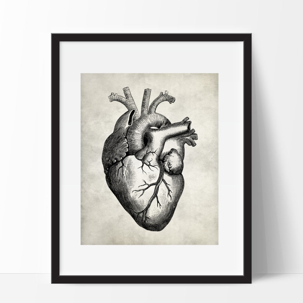 Anatomy Heart Medical Wall Art