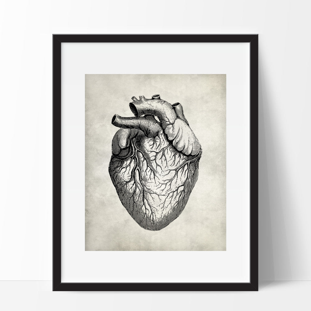 Medical Anatomy Heart Wall Art