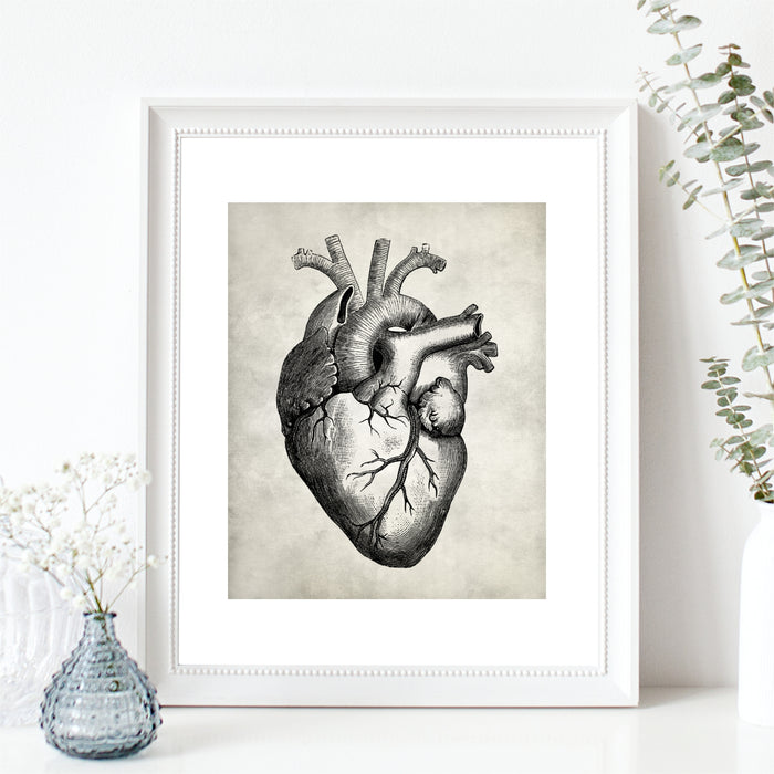 Anatomy Wall Art Heart Print
