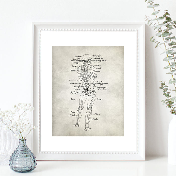 Detailed Full Body Anatomy Wall Art
