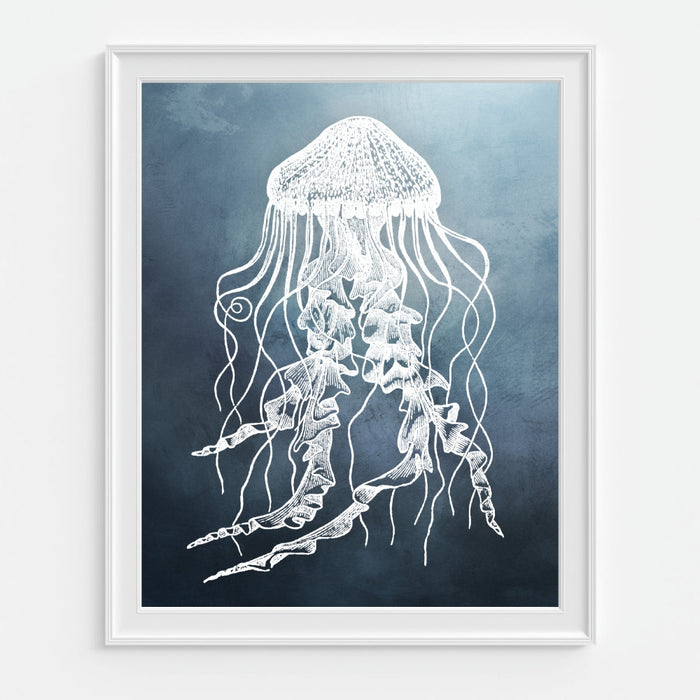 Jellyfish wall decor - vintage reproduction art
