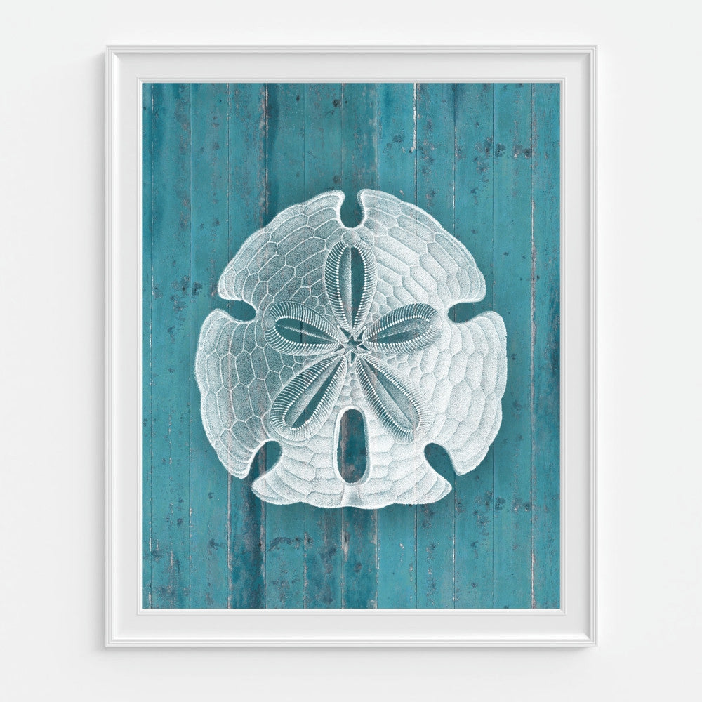 Sand Dollar Wall Art in Teal on a Faux Wood Background