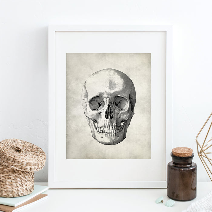 Skull Medical Art Print