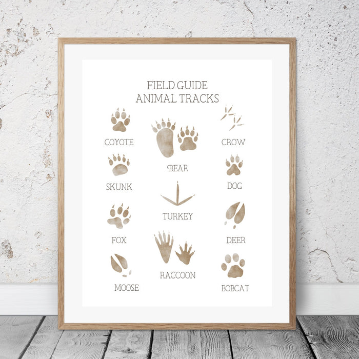 The field guide to animal tracks wall art. Guide to help identify common animal tracks