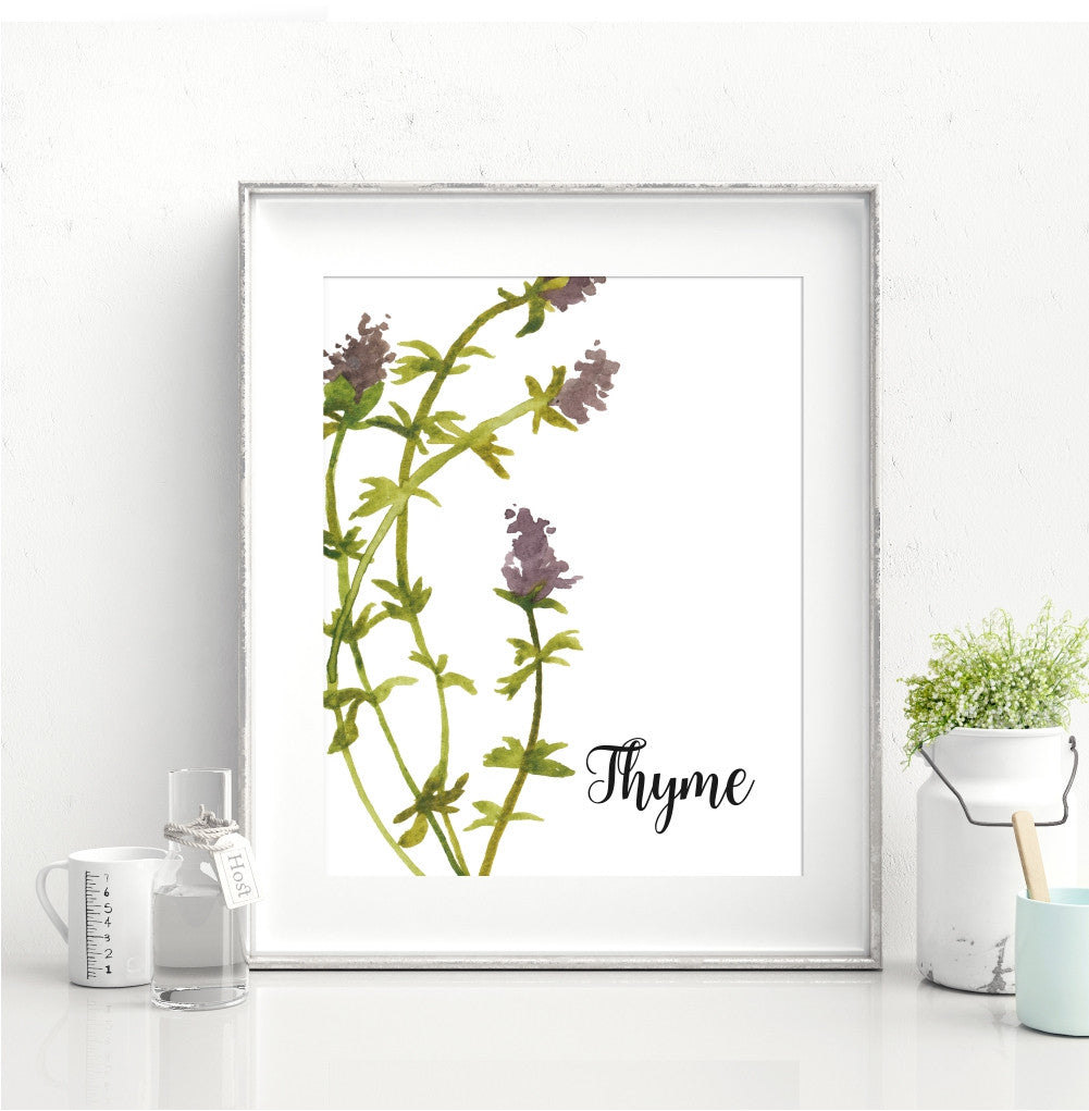 Watercolor Thyme Wall Art